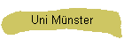 Uni Mnster